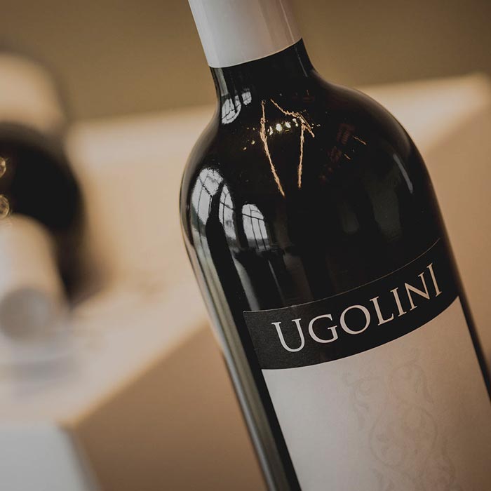 vini tenute Ugolini una degustazione del sapore della Valpolicella in 4 calici