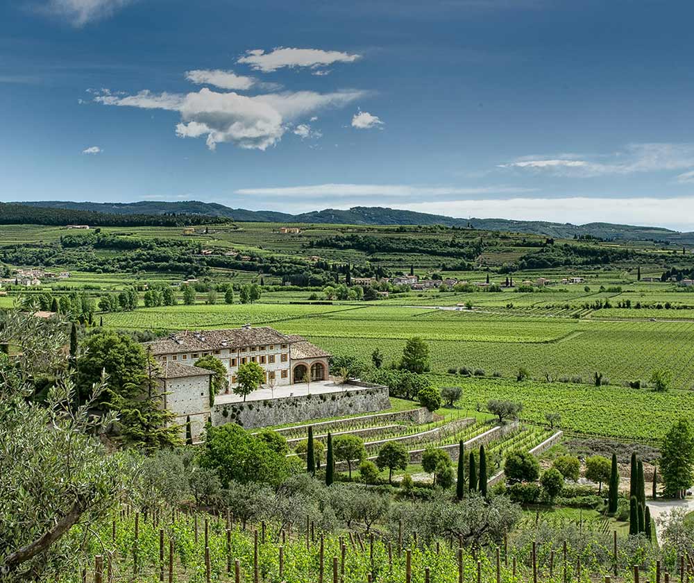 I vini Valpolicella Ugolini tracciano un percorso di eccellenza e di espressione più autentica del territorio.